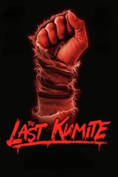 The Last Kumite (2024) 720p BluRay HINDI DUBBED Watch Online (1XBET)