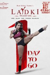 Ladki: Enter the Girl Dragon (2022) Hindi WEBRip Full Bollywood Movie ESubs