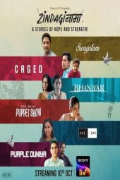 Zindaginama S01 (2024) Hindi Completed Web Series ESub